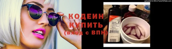 прущий лед Алзамай