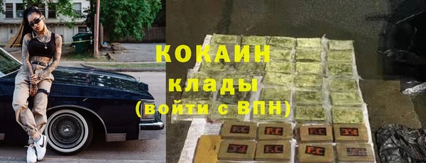 прущий лед Алзамай