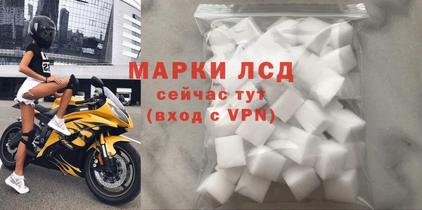 прущий лед Алзамай